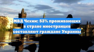 МВД Чехии: 53% проживающих в стране иностранцев составляют граждане Украины