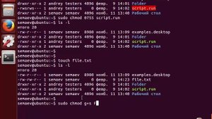 LPIC 104.5 часть четвертая suid, sgid и sticky биты