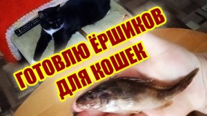 🧊 Как я готовлю рыбу для кошек: безопасные заготовки на неделю