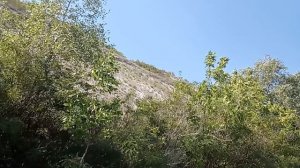 Жизнь на рыблке