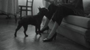 13698407-uhd_3840_2160_25fps