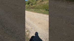 🔴 ⁉️🥺 SANDU GRUPIROVCA PAS AUUUU ASTA SE INTIMPLA DATORITA DEPORTARILOR VOASTRE. #📌 #moldova🇲🇩