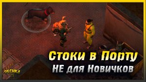 Канализация НЕ для Новичков | Стоки в порту и Споровые зомби | Last Day on Earth: Survival