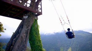 15753437-uhd_3840_2160_24fps