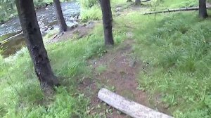 Вылазка на рыбалку...