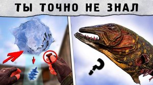 35 ИНТЕРЕСНЫХ ФАКТОВ из STALKER 2