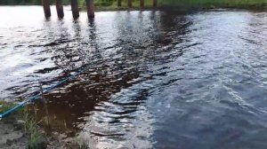 На озере 😲
Хорошо идёт карась 😀