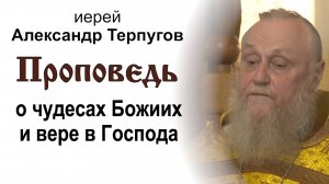 Проповедь о чудесах Божиих и вере в Господа (2025.08.03). Иерей Александр Терпугов