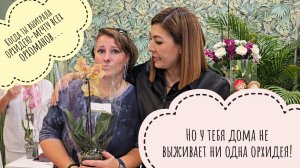 Праздник для любителей орхидей: День Рождения Зебоорхидс! Выиграли все орхидеи, проиграли конкурсы!