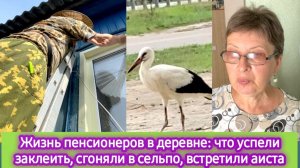 Жизнь на пенсии в деревне: что успели заклеить, сгоняли в сельпо, встретили аиста, наши покупки