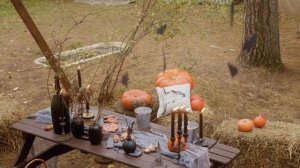 5602277-uhd_4096_2160_24fps