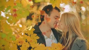 И.Викторов Листья желтые.