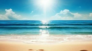 СП "Носки 12 месяцев", отчёт за июль