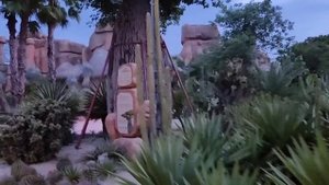 Дендрарий Vinpearl, Вьетнам