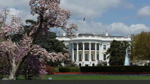 В США раскритиковали план Трампа по бальному залу за $200 млн в Белом доме