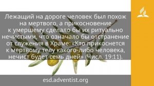 4 августа 2025. Милосердный самарянин. Под сенью благодати _ Адвентисты