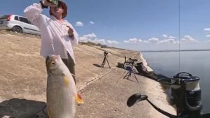 Рыбалка на водохранилище с фидерной снастью