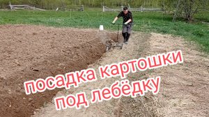 Посадка картошки под лебёдку