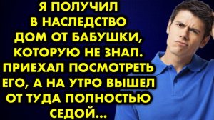 Я получил в наследство дом от бабушки, которую не знал. Приехав посмотреть его, а на утро вышел...