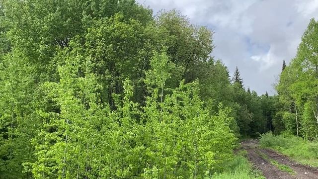 Вышивка крестом .Продолжение работы для изготовления " Часов" . смотреть онлайн