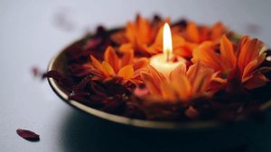 7121788-hd_1920_1080_30fps