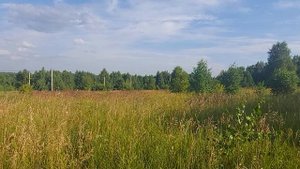20250802_165334 (1)