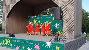 Береза белая. (начало)