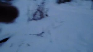 Туалет на улице