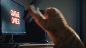 мы все иногда как этот кот