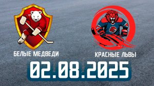 02.08.2025 Роллер хоккей #4