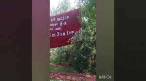 Омская «Флора-2025»: картинки выставки