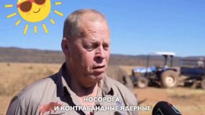 В ЮАР делают рога носорогов радиоактивными