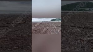Двойные стандарты