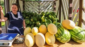 В Москве официально стартовал сезон арбузов. По  городу открылись сотни бахчевых развалов