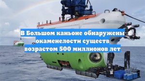 В Большом каньоне обнаружены окаменелости существ возрастом 500 миллионов лет