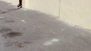 Конный клуб на шоссе энтузиастов. Очень интересное место где живут красивые домашние лошади.