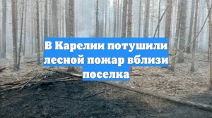 В Карелии потушили лесной пожар вблизи поселка