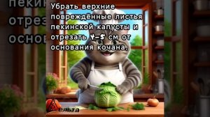 Рецепты от кота-Маркиза. Голубцы из пекинской капусты.