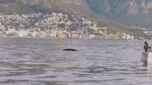 Круиз на закате по Атлантическому океану