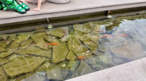 Дни Вьетнама в Москве