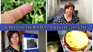 03-08-2025 ПОМИДОРАМ БЫТЬ🍅ПРАВА В КАРМАНЕ👍КОММЕНТАРИИ НАСМЕШИЛИ🤣ВКУСНЫЙ ПИРОГ👍