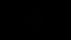 Б. Мартини. Гавот F - Dur