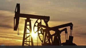 Bloomberg узнало об отсутствии запрета Индии на закупку российской нефти