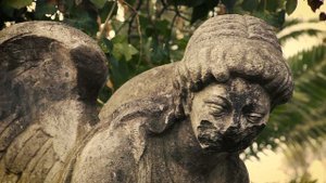 9645607-hd_1920_1080_24fps