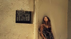 4861274-hd_1280_720_60fps