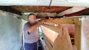 Бройлеры в брудере Заселил цыплят в брудер