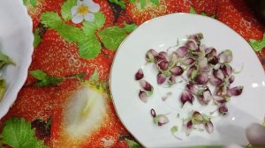 Семена будущего урожая.