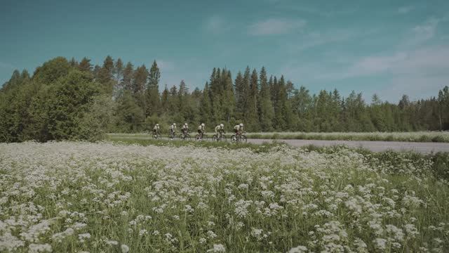 Отчет 'Золото Ладоги 2024'