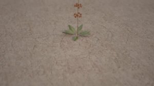 Василиса Горочная - Ария фа-диез минор ("Аид и Персефона"), исполяют: И. Козлов (домра), А. Шелест