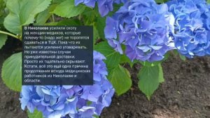 Николаев 3 августа 2025 года (новости)